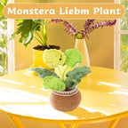 kgxulr Crochet Kit for Beginners, Monstera Leaves Crochet Kit Beginner Crochet - Image 4