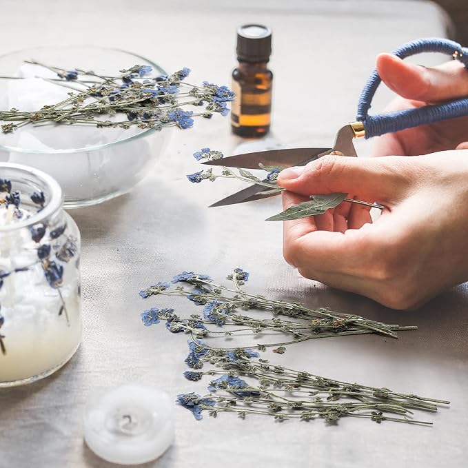 50 Pcs Natural Forget Me Not Pressed Dried Flowers Blue Don't Forget Me Dried - Image 5