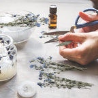 50 Pcs Natural Forget Me Not Pressed Dried Flowers Blue Don't Forget Me Dried - Image 5
