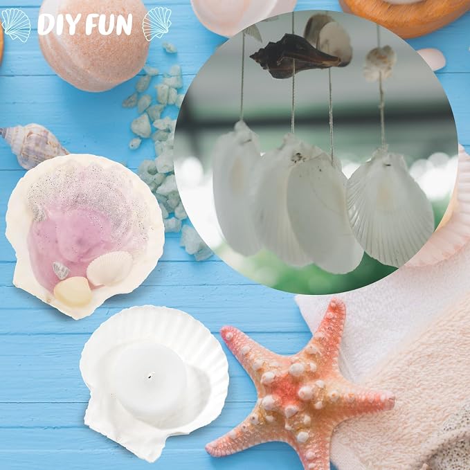 GlikCeil 50 Pcs Sea Shell for Crafting Natural Large Scallop White Oyster - Image 4