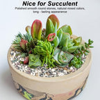 River Rocks, Landscaping Pebbles, Decorative Ornamental Pebbles, Garden - Image 4