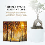 TR-LIFE 4 Pack 3 Inch Small Display Stands - Image 5