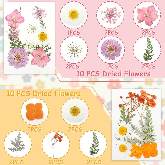 Real Dried Pressed Leaves for Candle Resin Jewelry Soap Nail Pendant Phone Case - Image 2