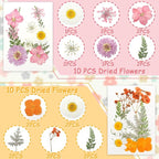 Real Dried Pressed Leaves for Candle Resin Jewelry Soap Nail Pendant Phone Case - Image 2