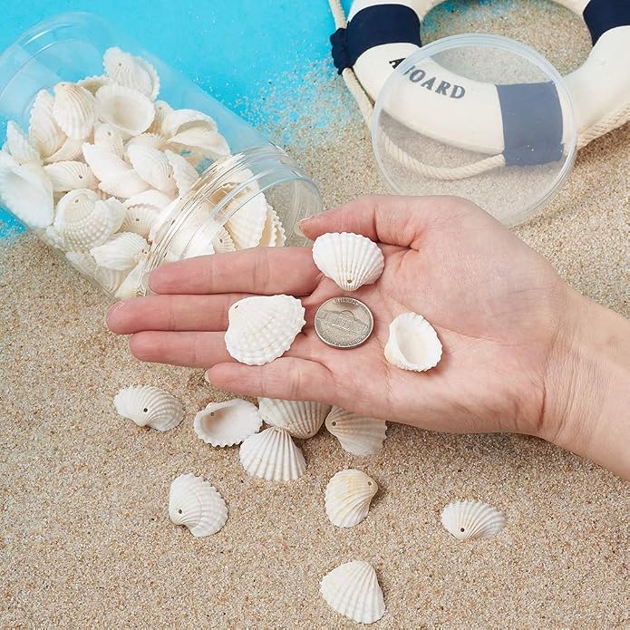 Beadthoven Box of 117pcs Natural Clam Shell Pendants 21.5-24.5x8.5-11.5 Beach - Image 7