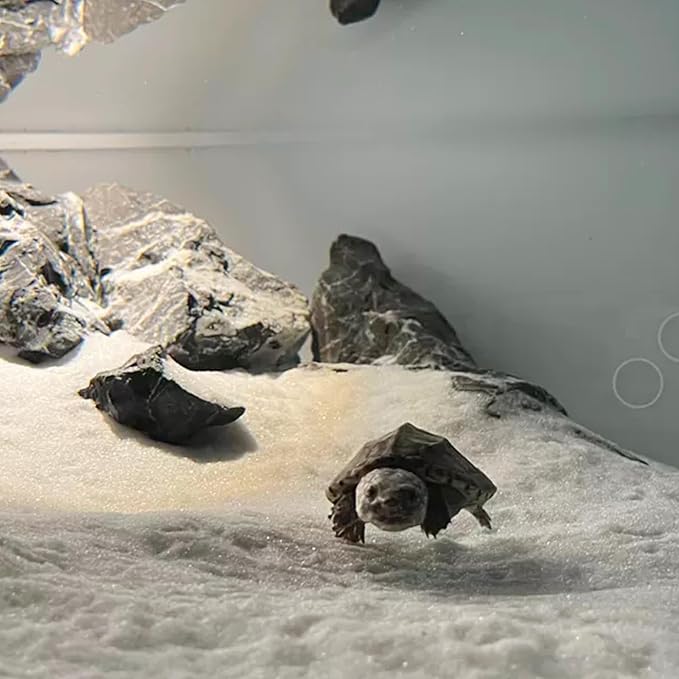 YISZM Aquarium Sand, 2lbs White Fish Tank Sand, Aquarium Gravel Substrate - Image 7