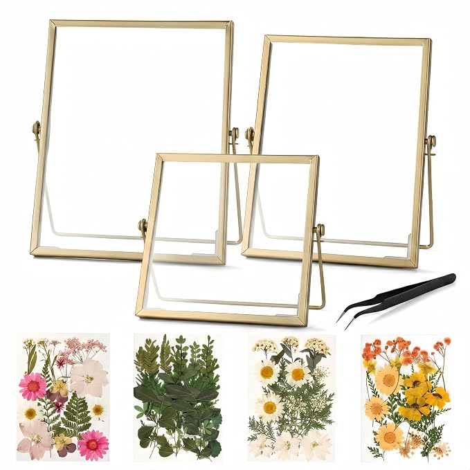 Relaxing Garden Floating Double Glass Frame Set, 3 Sizes 6x6 6x8 7x9 by RlexingGarden%E2%80%98sDecor
