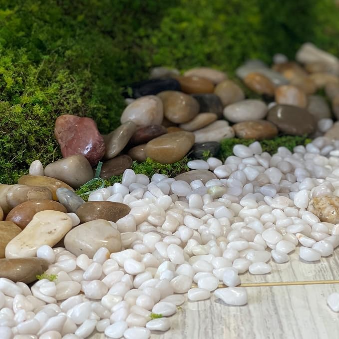 FANTIAN 20 lbs White River Rocks - Image 4