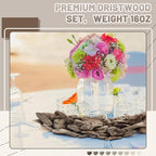 32oz Driftwood for Crafts and Decor, Mixed Size Driftwood Pieces Large Drift - Image 5