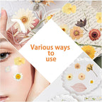 Dried Pressed Flowers Real Pressed Flowers Natural Dry Leaves Bulk Mixed - Image 5