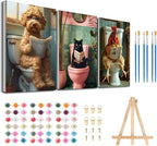 3 Pack Framed Paint by Numbers for Adult by MeothanDiamondPainting
