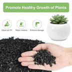 Pulovin 5 lbs Pebbles for Indoor Plants, 1/5 Inch Small Lava Rock for Plants - Image 3