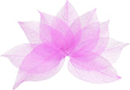 uxcell 100 Pcs Rose Red Skeleton Leaves by uxcell