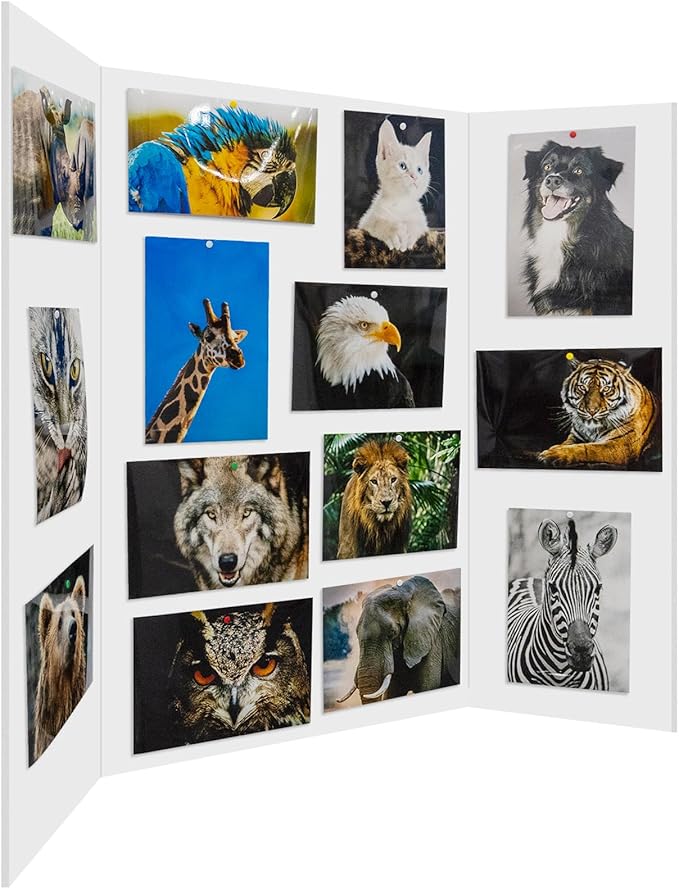 Foam Board Trifold 52 x 40 x 3/16", Large Foam Core Poster Board | 5 Pack - Image 5
