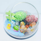 1Lb Pebbles for Indoor Plants, 1/3" Plant Rocks for Pots Indoor, Small - Image 3