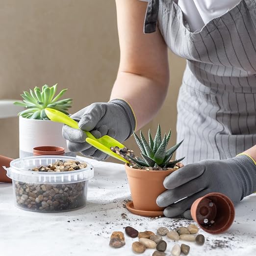 Pulovin 10 lbs Pebbles for Indoor Plants, 3/8" Plant Rocks for Pots Indoor - Image 4