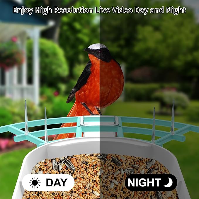 Bird Feeder with Camera, Auto Capture Wiress Bird Feeder Camera, AI Identify - Image 5
