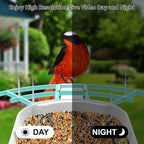Bird Feeder with Camera, Auto Capture Wiress Bird Feeder Camera, AI Identify - Image 5