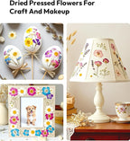 Dried Flowers, Resiners 100Pcs Pressed Flowers - Image 9