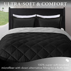 downluxe Queen Comforter Set - Image 2