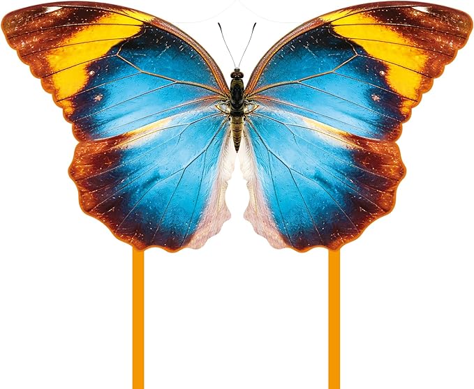 Butterfly Kite for Kids & Adults, Outdoor Kite, Grassy Areas by Unknown