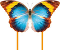Butterfly Kite for Kids & Adults, Outdoor Kite, Grassy Areas by Unknown