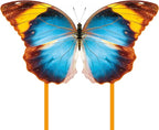 Butterfly Kite for Kids & Adults, Outdoor Kite, Grassy Areas by Unknown