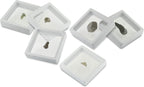 Starborn Meteorite and Tektite Celestial Collector's Set - Image 6