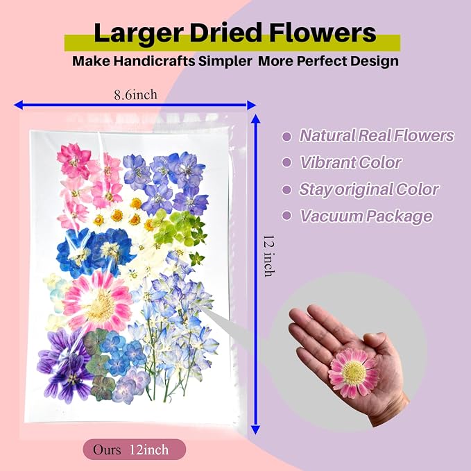 A4 Large Dried Pressed Flower for Resin Real Dry Natural Flowers Leaves for - Image 2