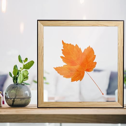 2 Pack 12x12 1/8" Clear Plexiglass Sheets - Image 6