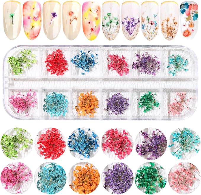 2 Boxes 3D Real Dried Flowers for Nail Art Colorful Mini Natural Gypsophila | - Image 2