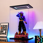 Clear Acrylic Display Case - Image 5