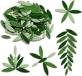 Yoption Petal Mosaic Tiles for Crafts, 200g Flower Leaf Ceramic Tiles Pieces by Yoption