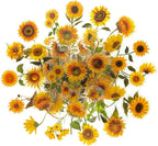 100Pcs Small Sunflower Stickers Transparent - Image 6