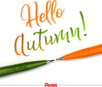 Pentel Fude Touch Sign Pen, Felt Pen Like Brush Stroke - Image 4