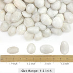 YISZM 5lbs White River Rocks, 1-2 Inch Natural Pebbles - Image 2