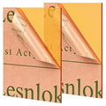 Lesnlok Orange Acrylic Sheets 1/8 inch Thick 3mm 2 Pack 8 x 10 Clear Plexiglass by Lesnlok