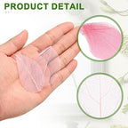 uxcell 100 Pcs Light Pink Skeleton Leaves - Image 3