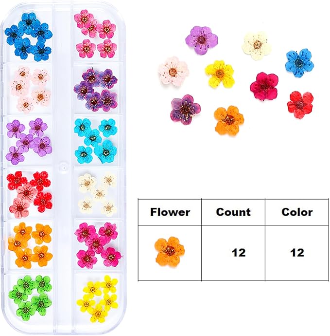 Dried Flowers for Nail Art Resin Jewelry Crafts - Image 4