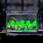 Glow Pebbles Green, Garden Lawn Yard, Fish Tank, Luminous Pebbles Powered by - Image 2