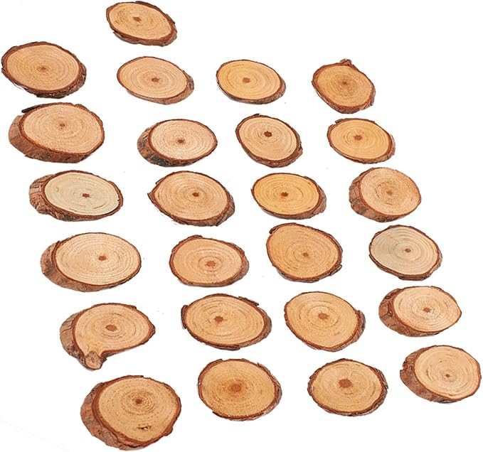 Rustic Unfinished Wooden Ornament Craft Kit 25 Piece DIY Blank Set - Image 5