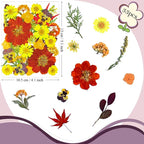 34 Pcs Yellow Dried Pressed Flowers - Image 6
