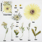 Woohome 44 PCS Pressed Flowers Natural Dried Flowers White Resin Flowers Real - Image 5