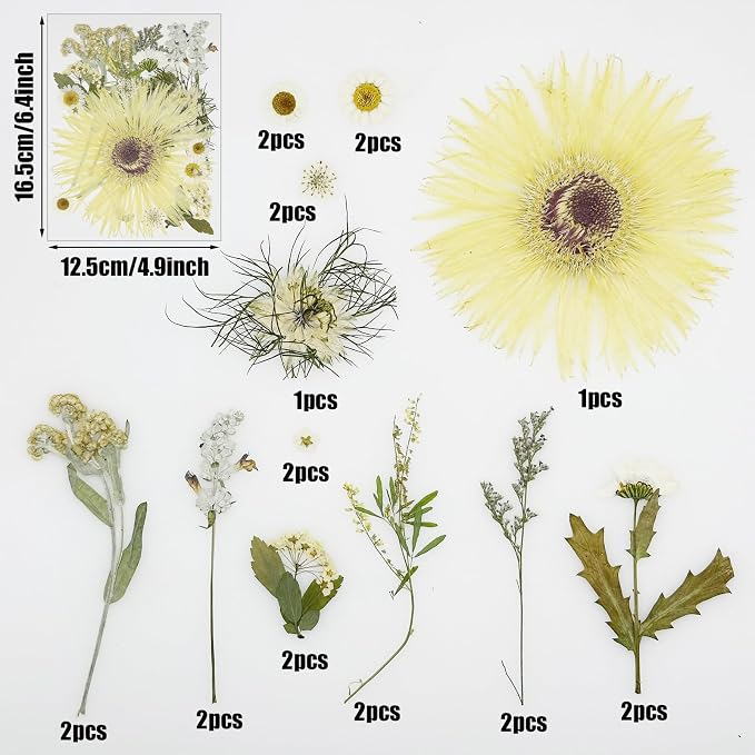 Woohome 44 PCS Pressed Flowers Natural Dried Flowers White Resin Flowers Real - Image 5