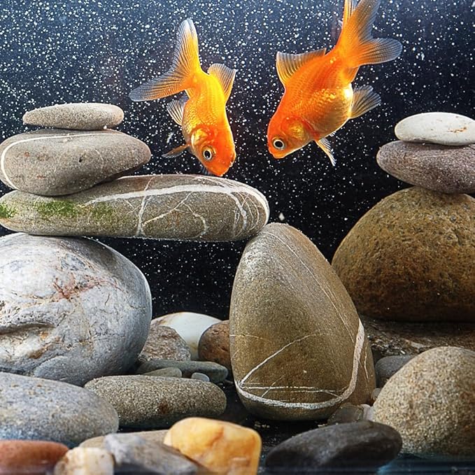 YISZM 40lbs Natural River Rocks, 1-2" Premium Pebbles - Image 5
