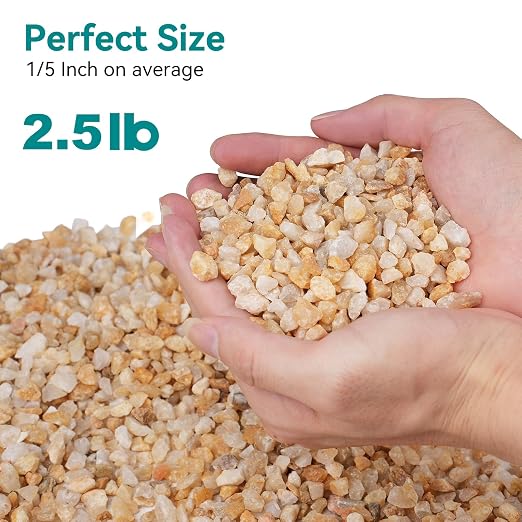 2.5 lbs Coarse Sand for Plants, 1/5 Inch Horticultural Sand for Vases, Fish Tank - Image 2