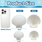20PCS Large Natural Scallop Shells 4-5 Inch White - Image 2