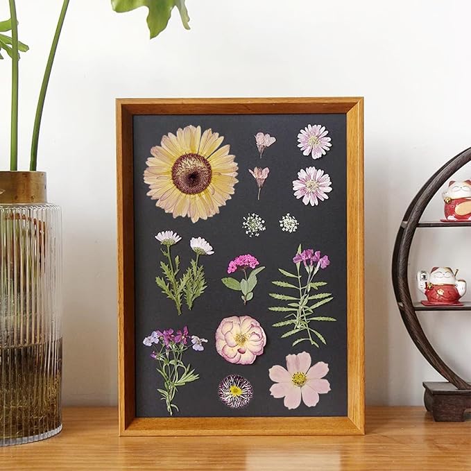 Woohome 44 PCS Real Pressed Flowers, Dry Leaves Natural Dried Pressed Leaves - Image 7