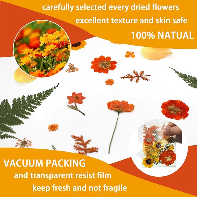 Dried Pressed Flowers Real Natural Petals Bulk Dried Leaves Plant - Image 4