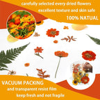 Dried Pressed Flowers Real Natural Petals Bulk Dried Leaves Plant - Image 4